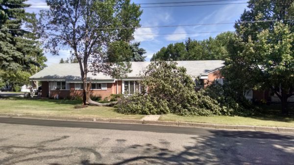 The July 28 wind storm created lots of havoc around Minot.