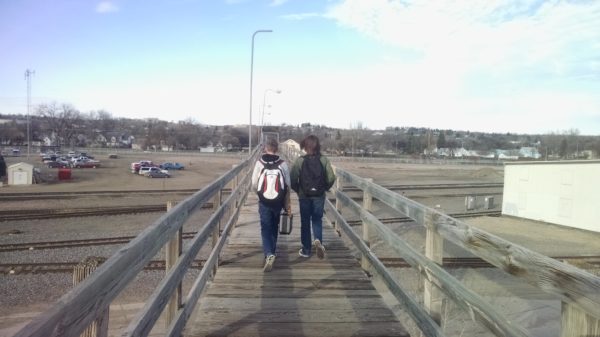 The bridge is used regularly by students on their daily commute to school. What consideration should be given to the bridge as a vital piece of infrastructure and how will removing it impact students and other pedestrian commuters?