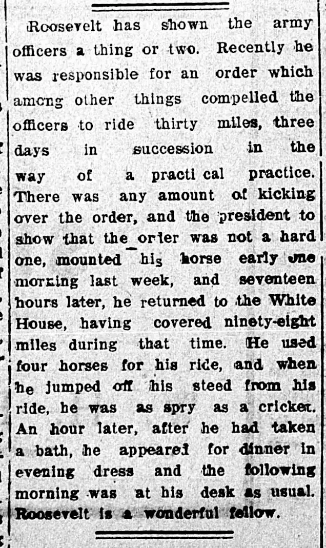 Teddy the Indomitable 