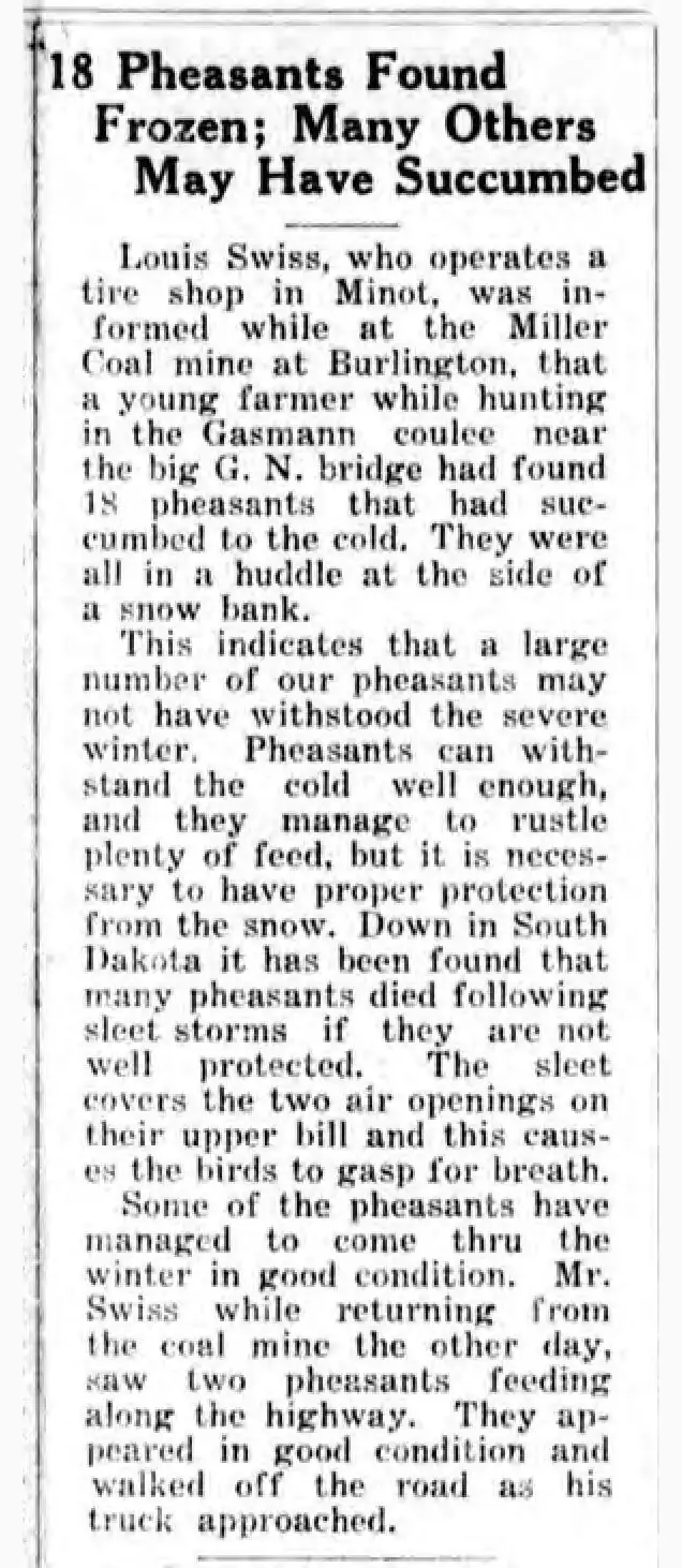 Hard Winter For Fowl