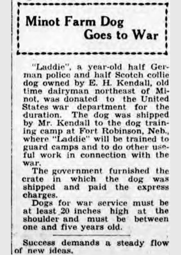 Laddie Goes to War
