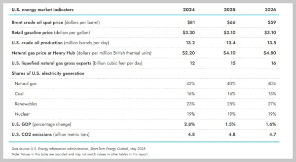 Energy Price Forecast May 2025