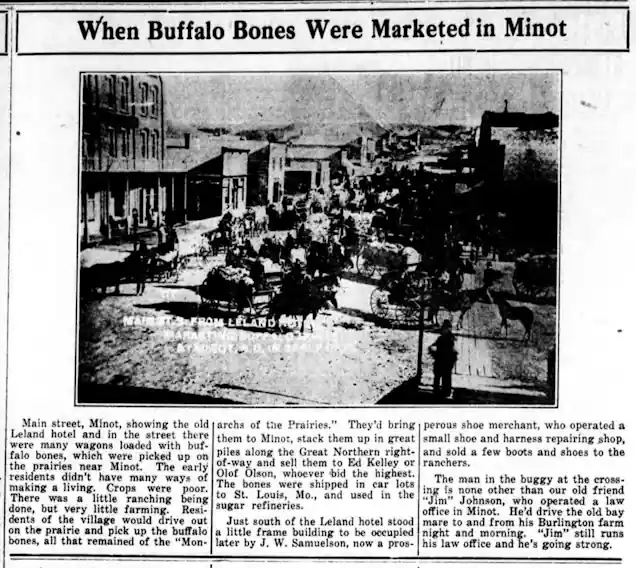 Picking Bones in Minot's Early Years