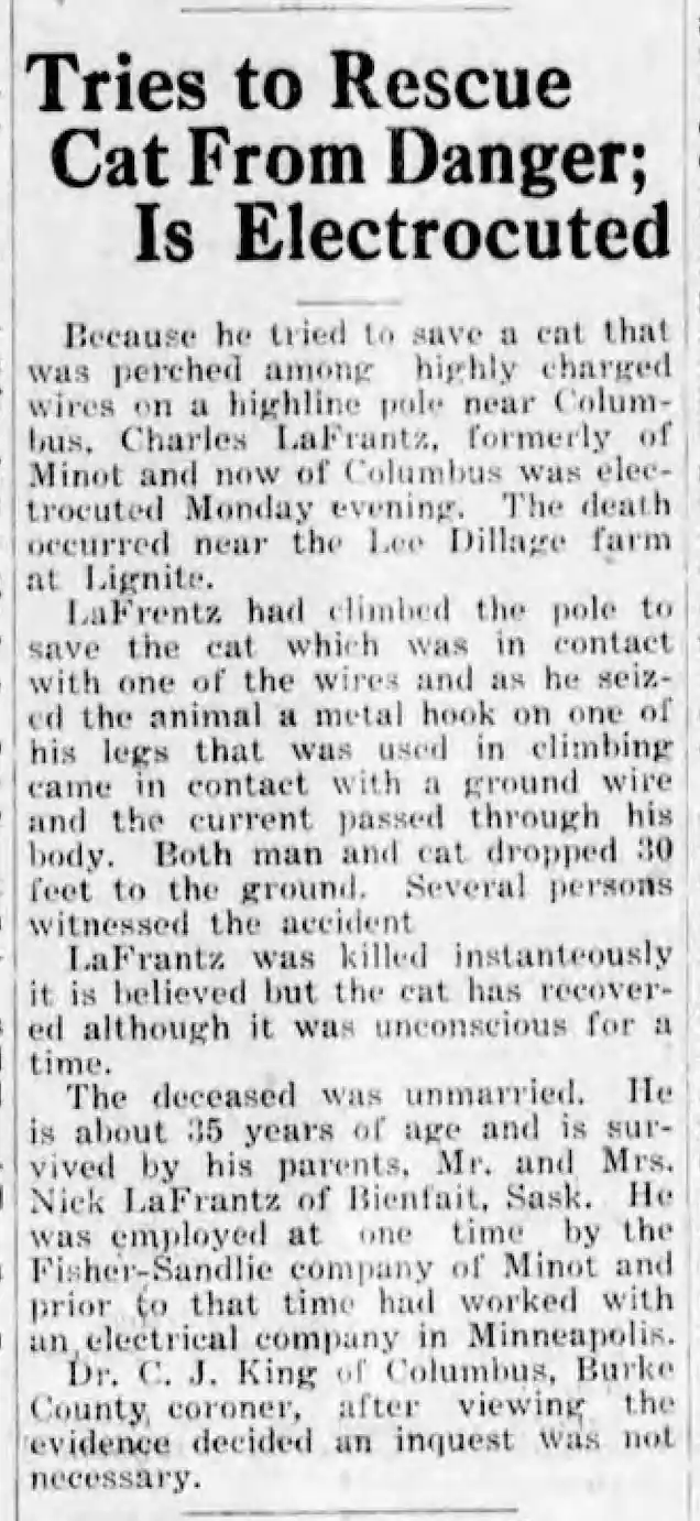 Cat Up a Pole Claims Two Lives