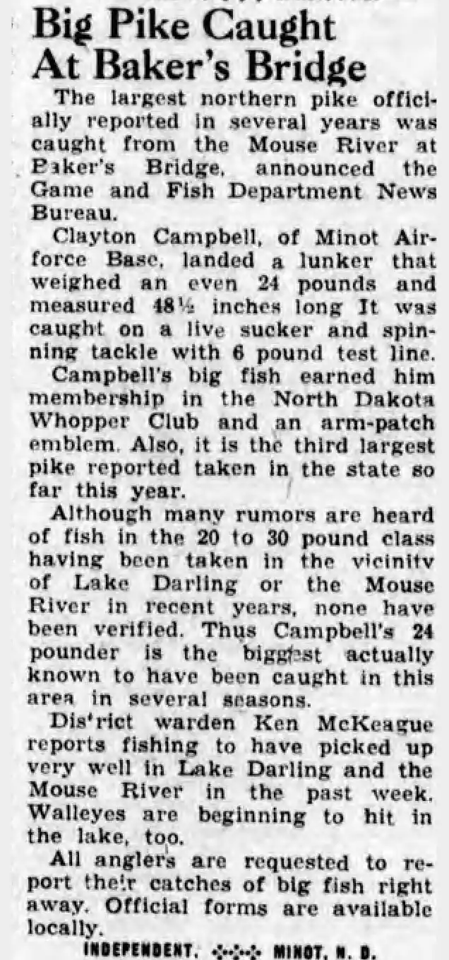 Little River Big Fish