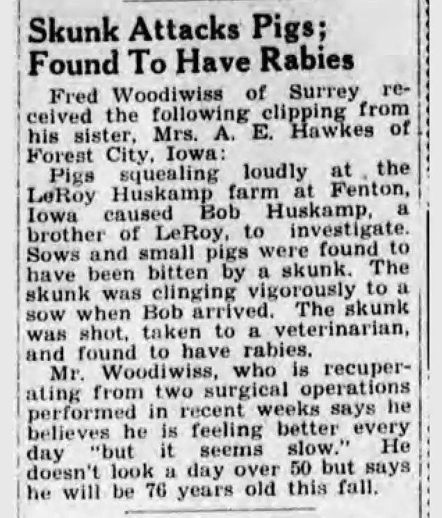 Beware of Animals Behaving Strangely