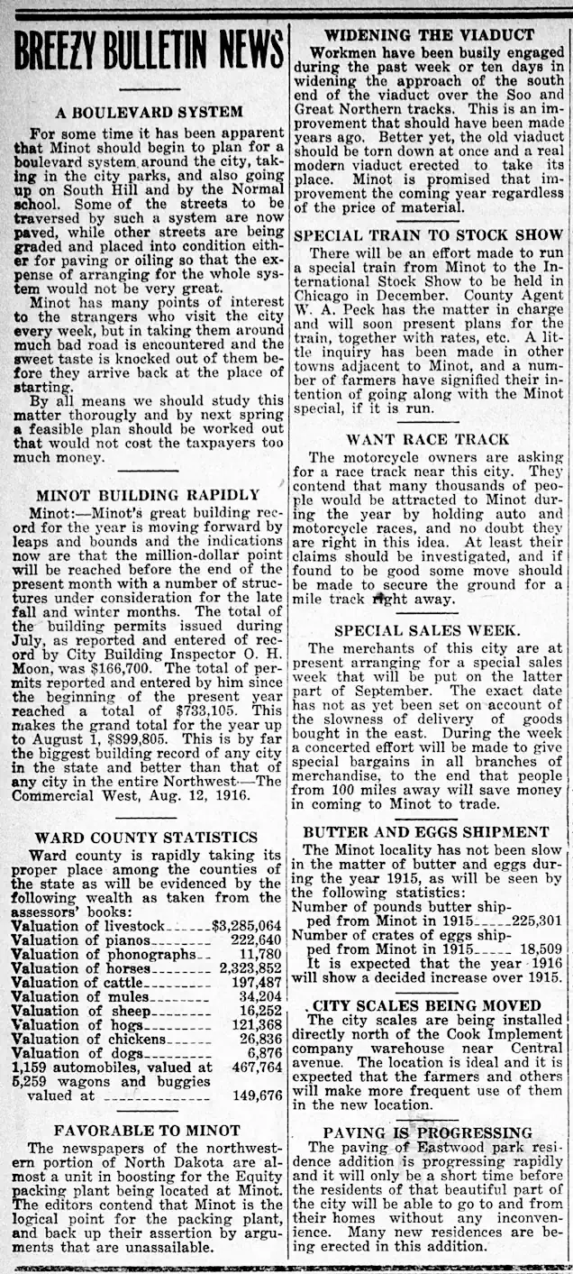 For the Beautification of Minot