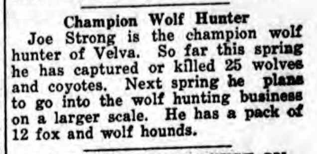 Wolves on the Prairie