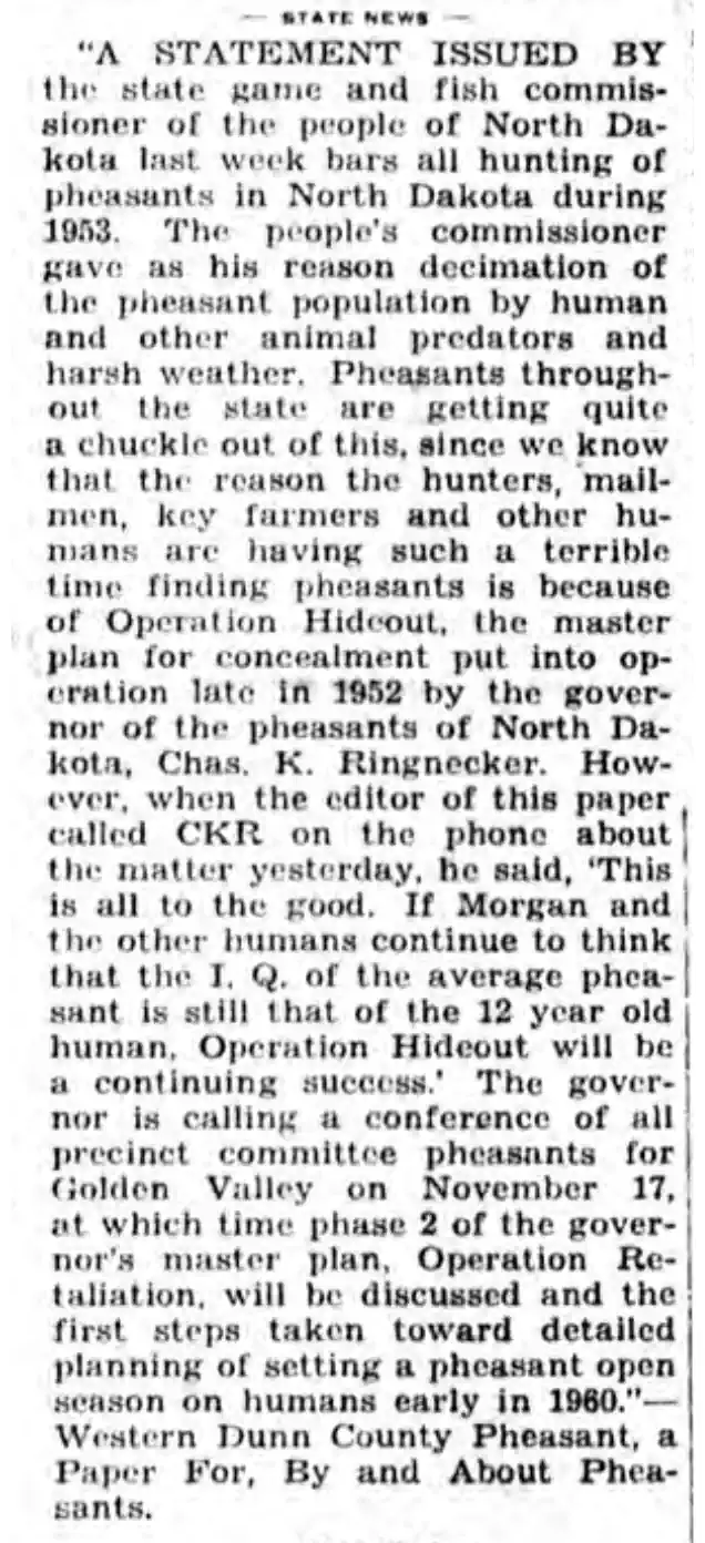 Pheasants Go Into Hiding