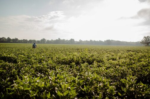 Soybean Farmer