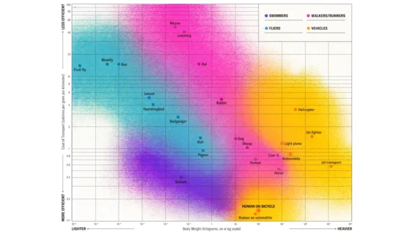 Efficiency-of-species