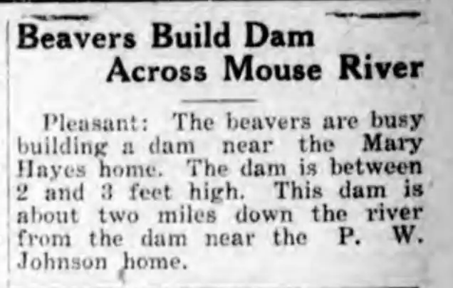 Building the Dam!